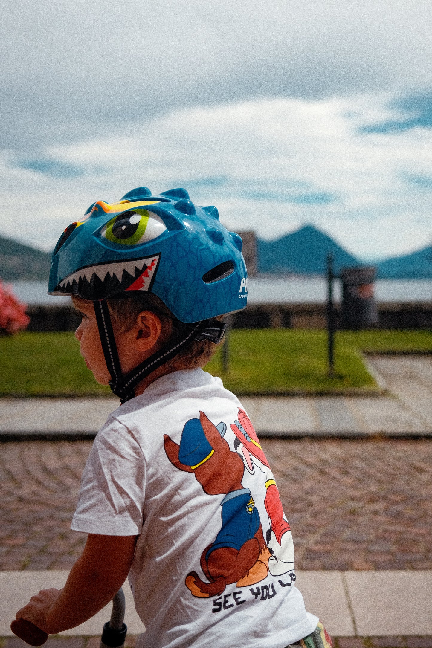 Fietshelm Kind Helm Kinderen - Kinderhelm Dino XS 46 51cm KOPEN ONLINE