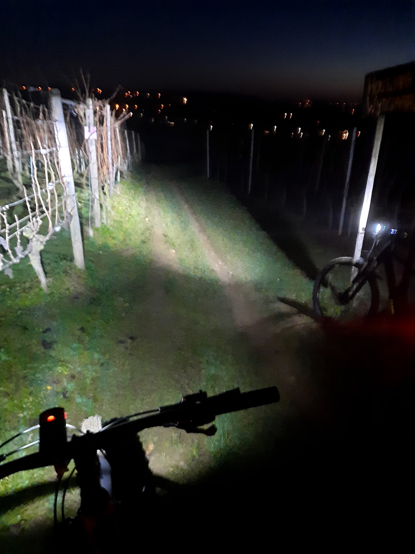 1200 Lumen Pro Sport Lights