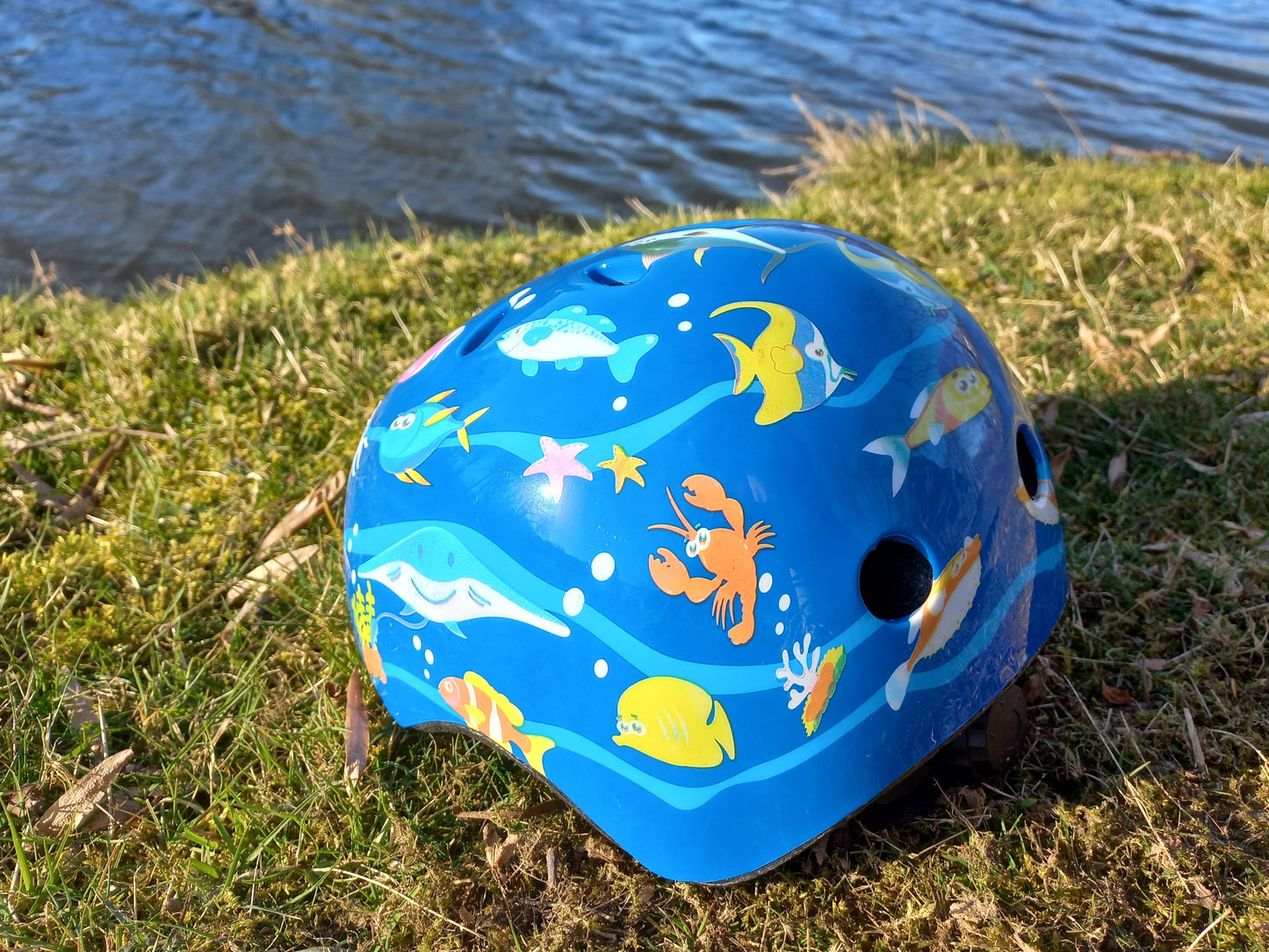 Child's bicycle helmet - Size 48/55 cm - Blue