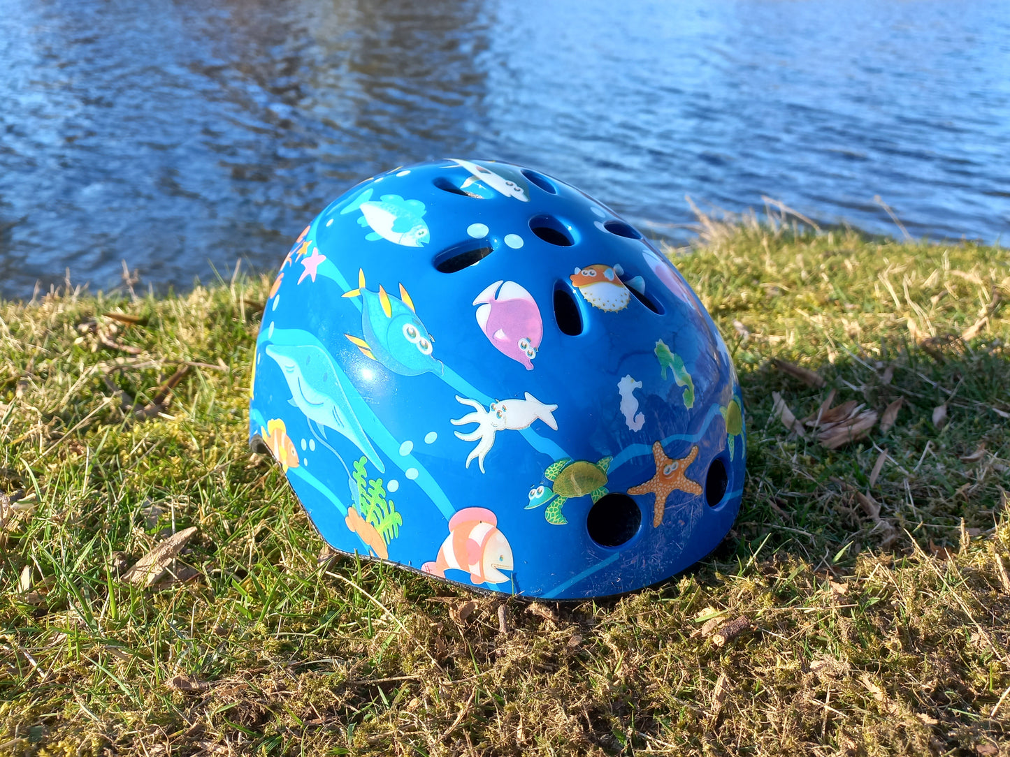 Child's bicycle helmet - Size 48/55 cm - Blue