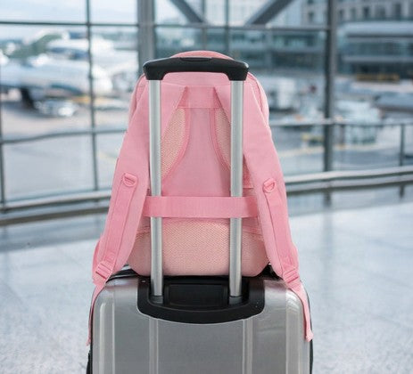 Rugzak 20 Liter Roze Handbagage Formaat Reistas & Fietsrugzak Kopen Online